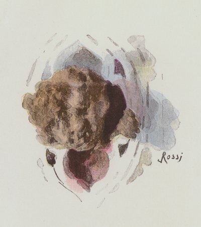 Illustration for Notre-Dame De Paris by Victor Hugo by Lucius Rossi